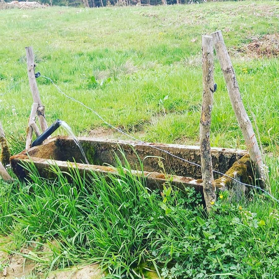 Landhaus Eibelesee Oberstaufen Bagian luar foto