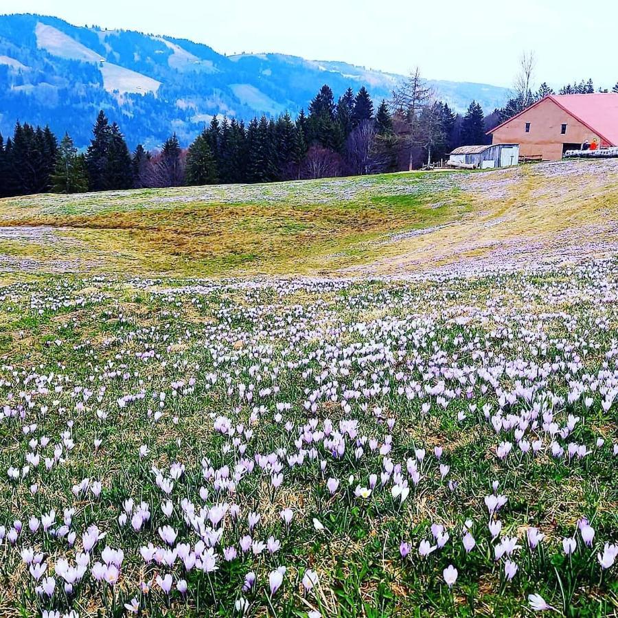 Landhaus Eibelesee Oberstaufen Bagian luar foto
