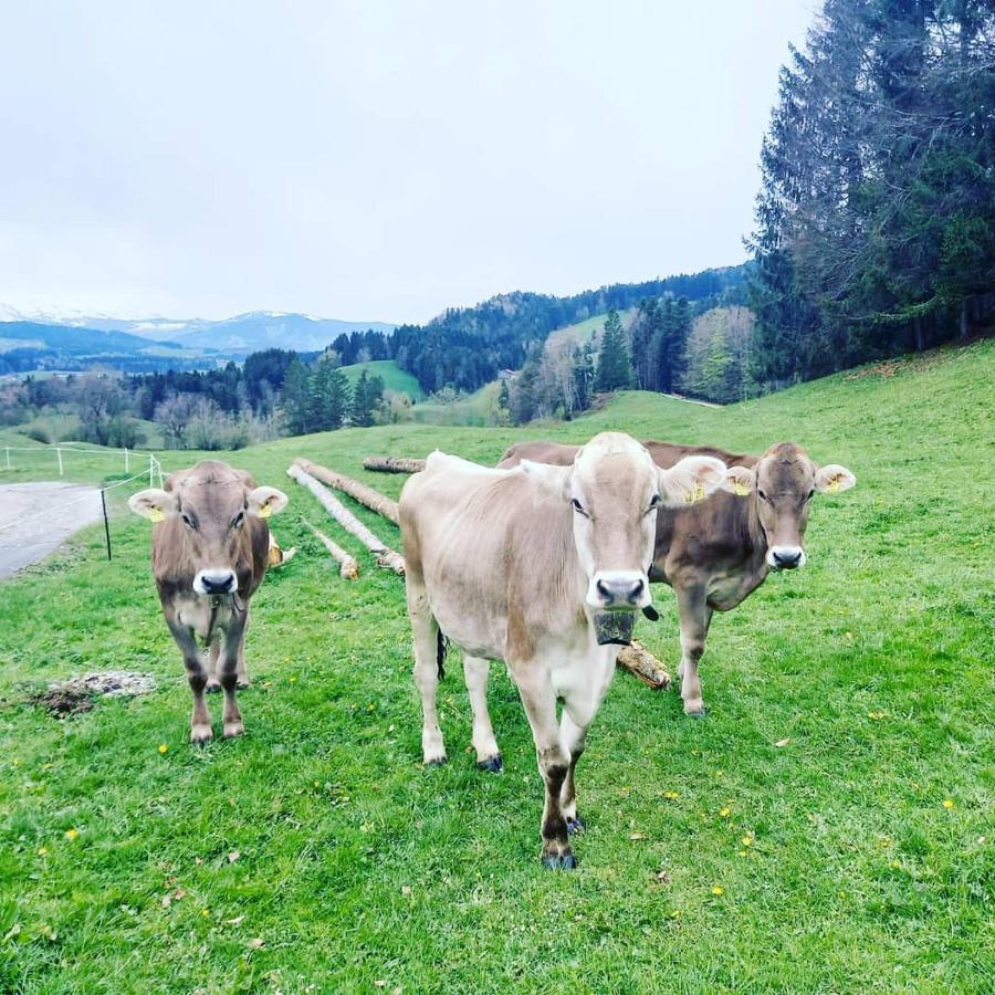 Landhaus Eibelesee Oberstaufen Bagian luar foto