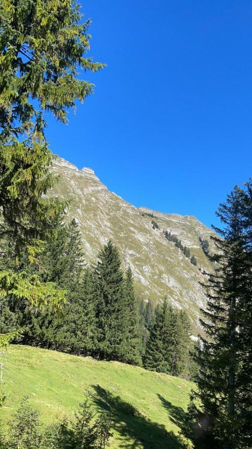 Landhaus Eibelesee Oberstaufen Bagian luar foto