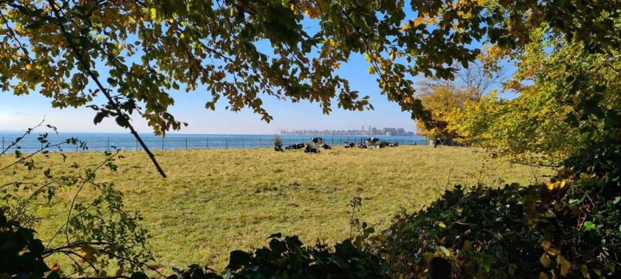 Landhaus Eibelesee Oberstaufen Bagian luar foto