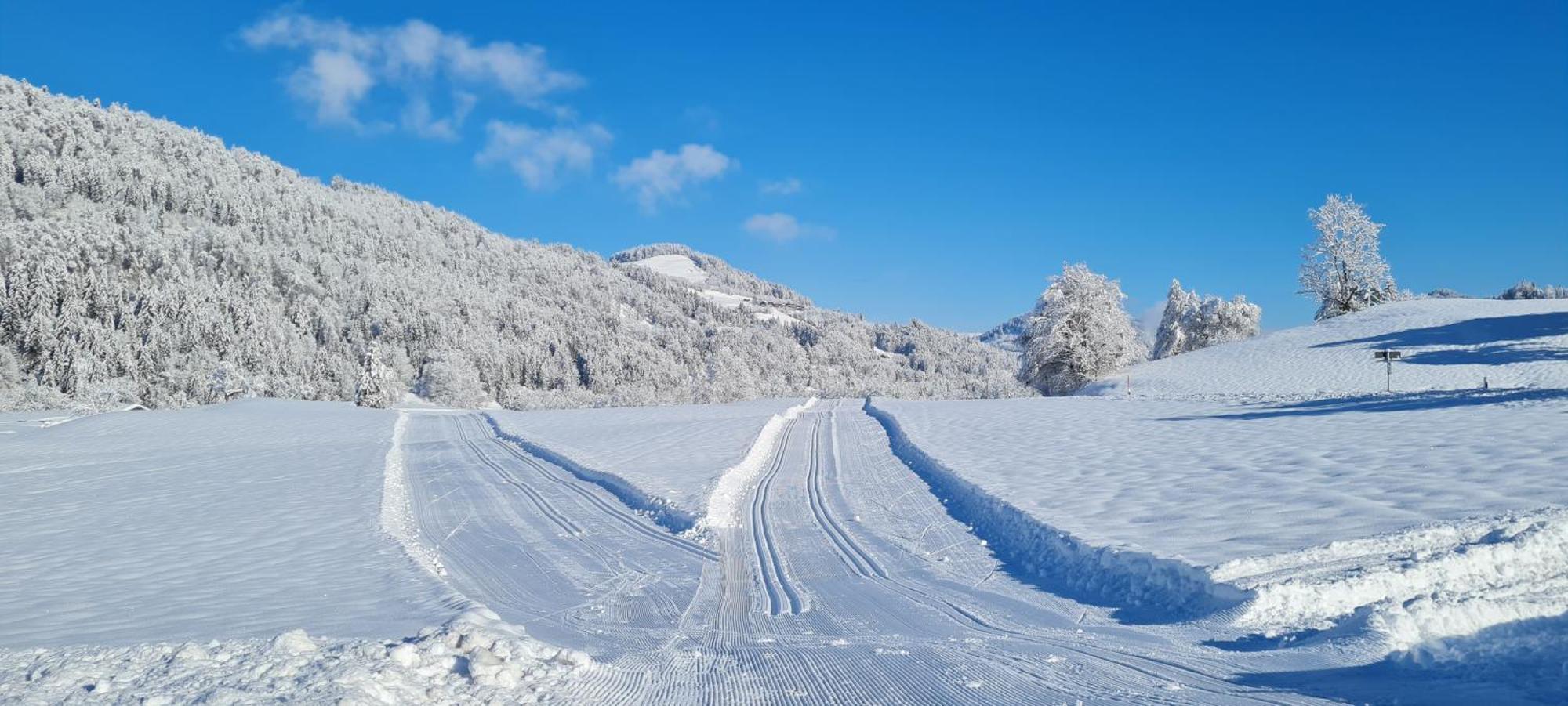 Landhaus Eibelesee Oberstaufen Bagian luar foto