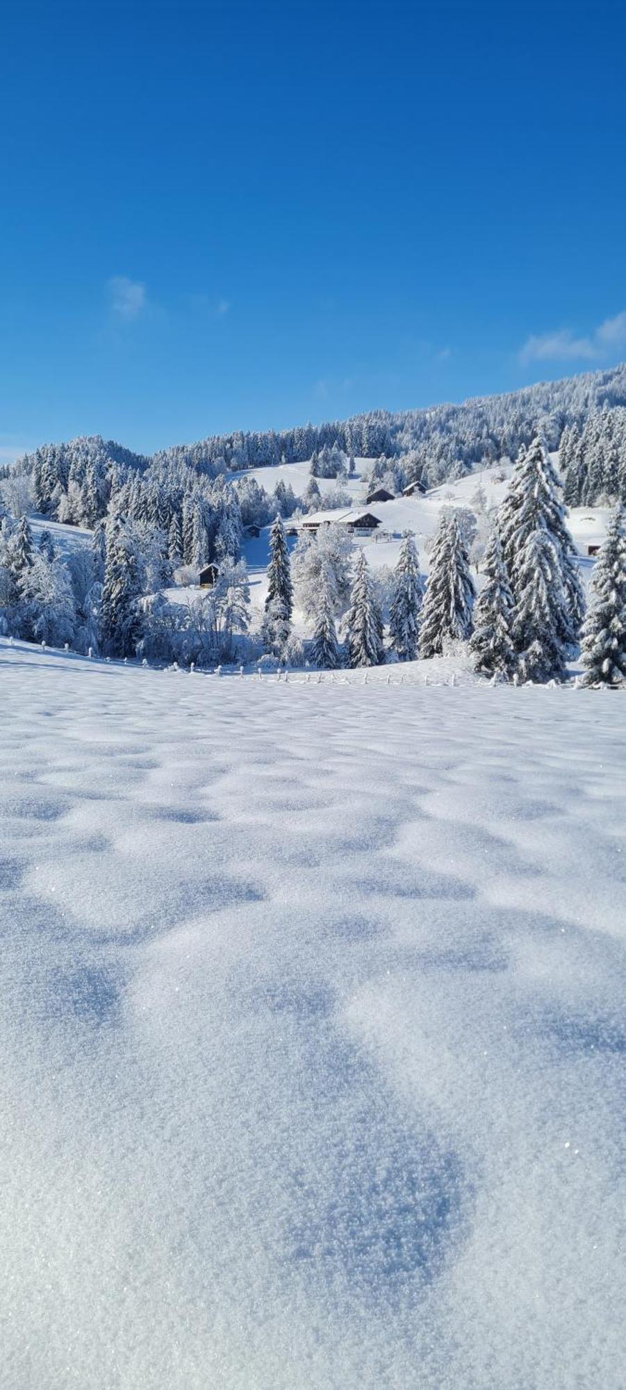 Landhaus Eibelesee Oberstaufen Bagian luar foto