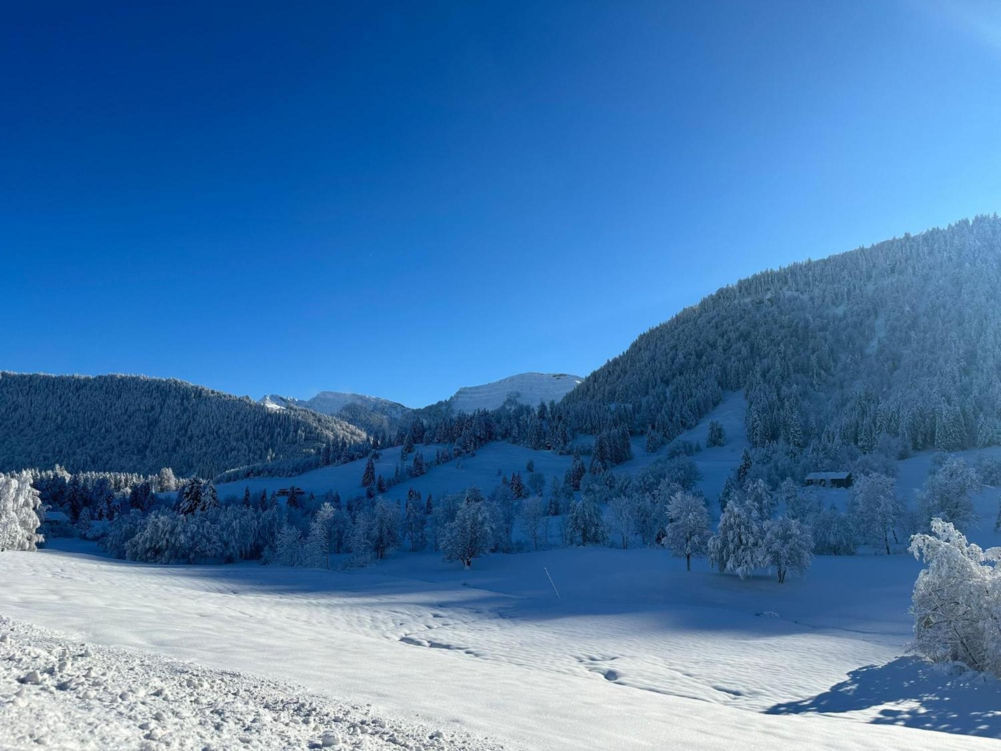 Landhaus Eibelesee Oberstaufen Bagian luar foto