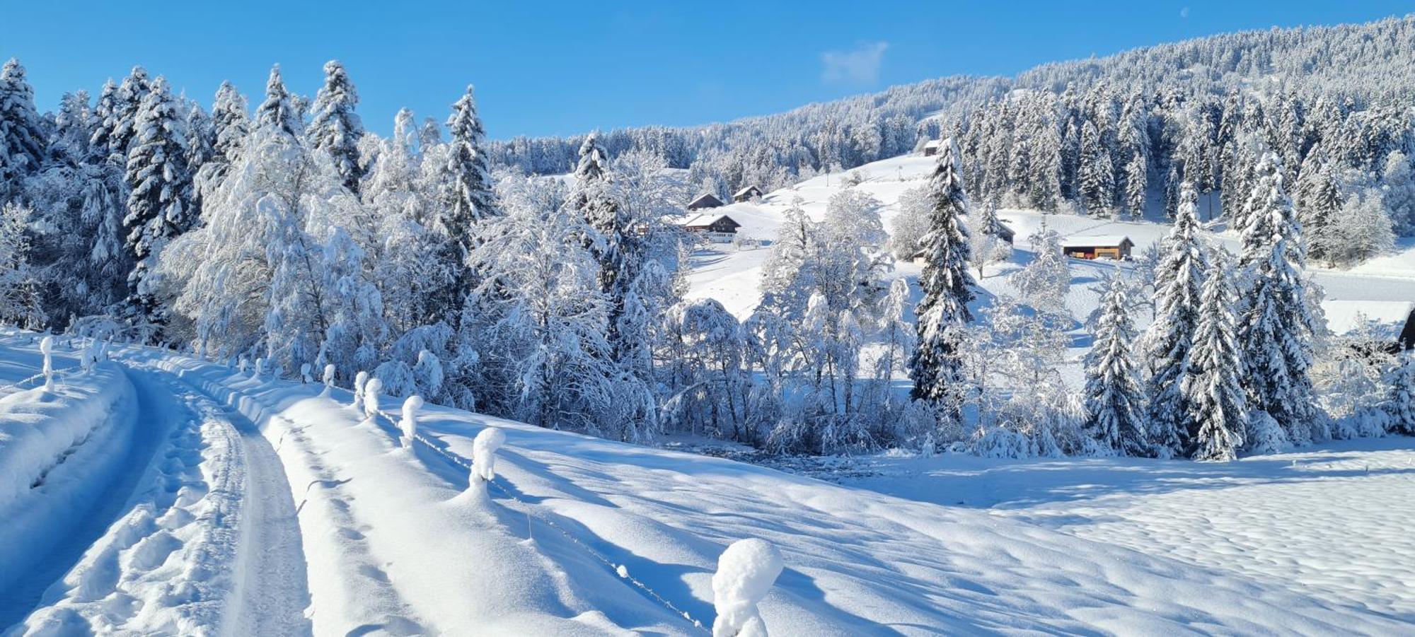 Landhaus Eibelesee Oberstaufen Bagian luar foto