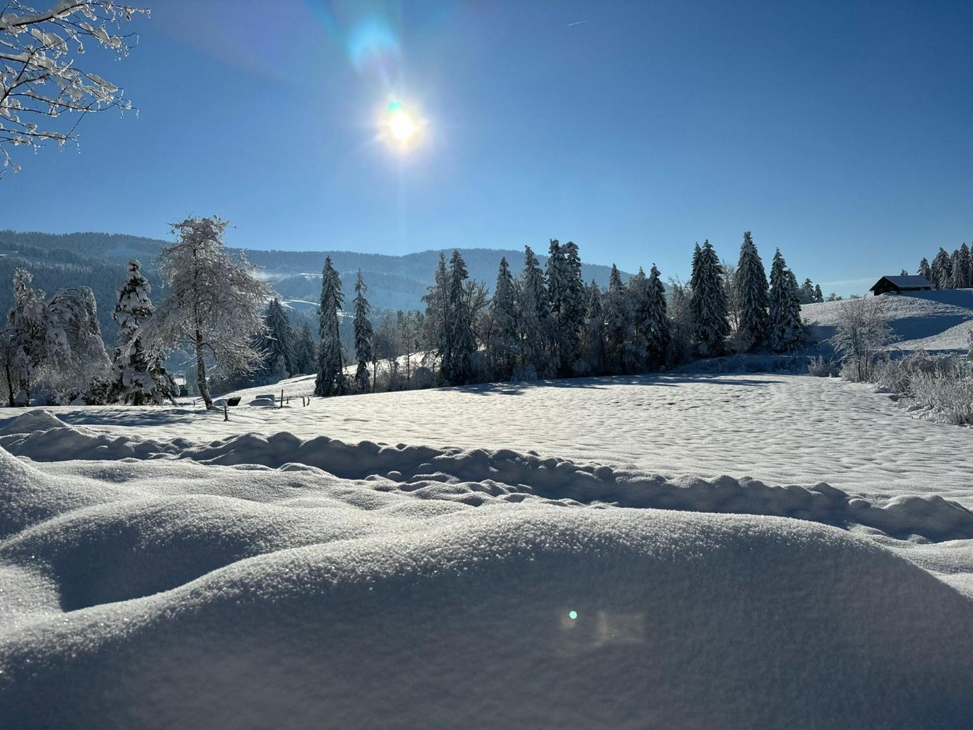 Landhaus Eibelesee Oberstaufen Bagian luar foto