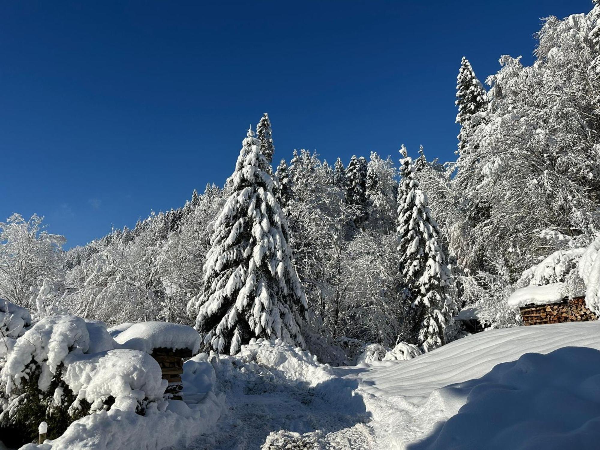 Landhaus Eibelesee Oberstaufen Bagian luar foto