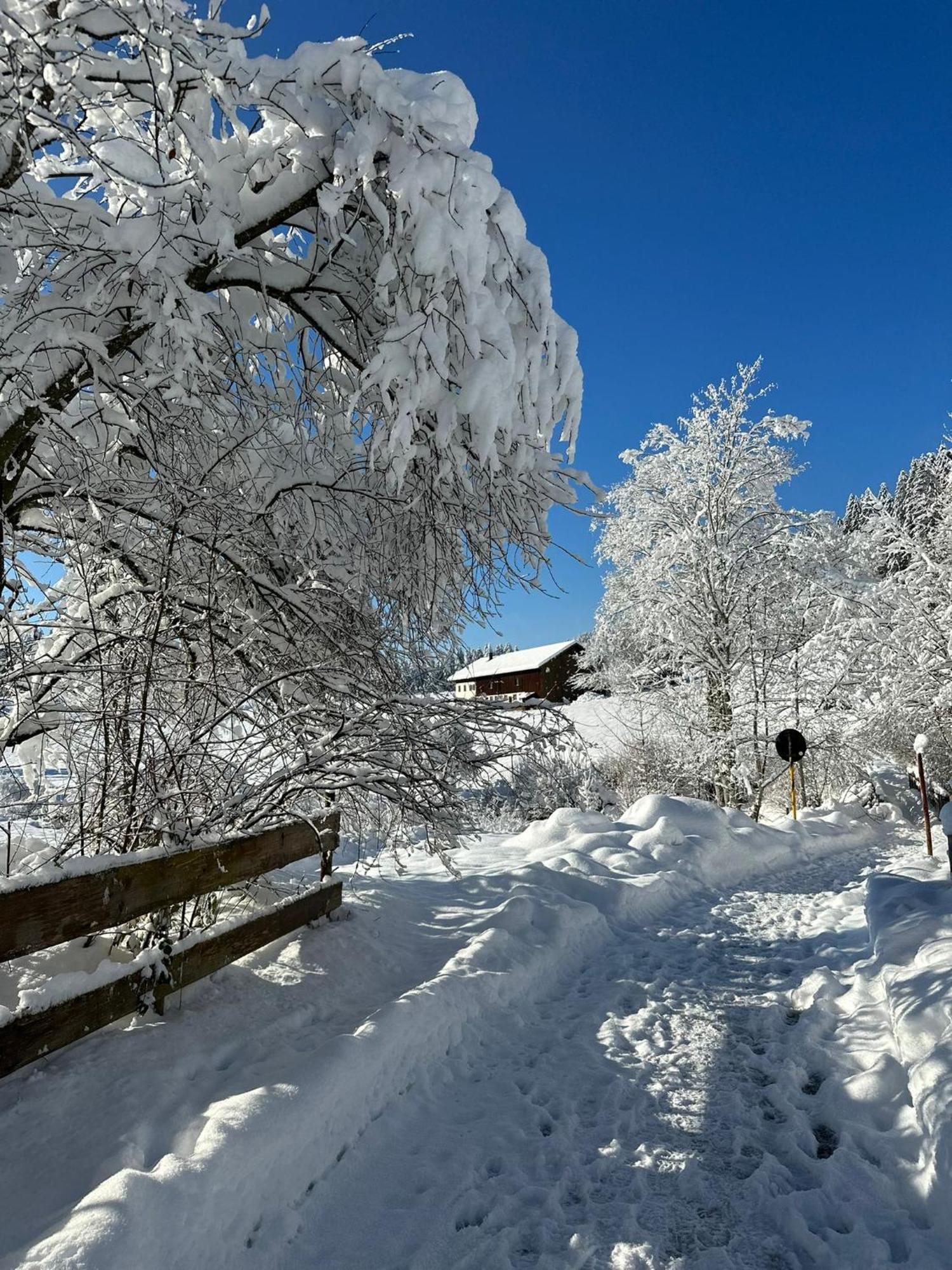 Landhaus Eibelesee Oberstaufen Bagian luar foto