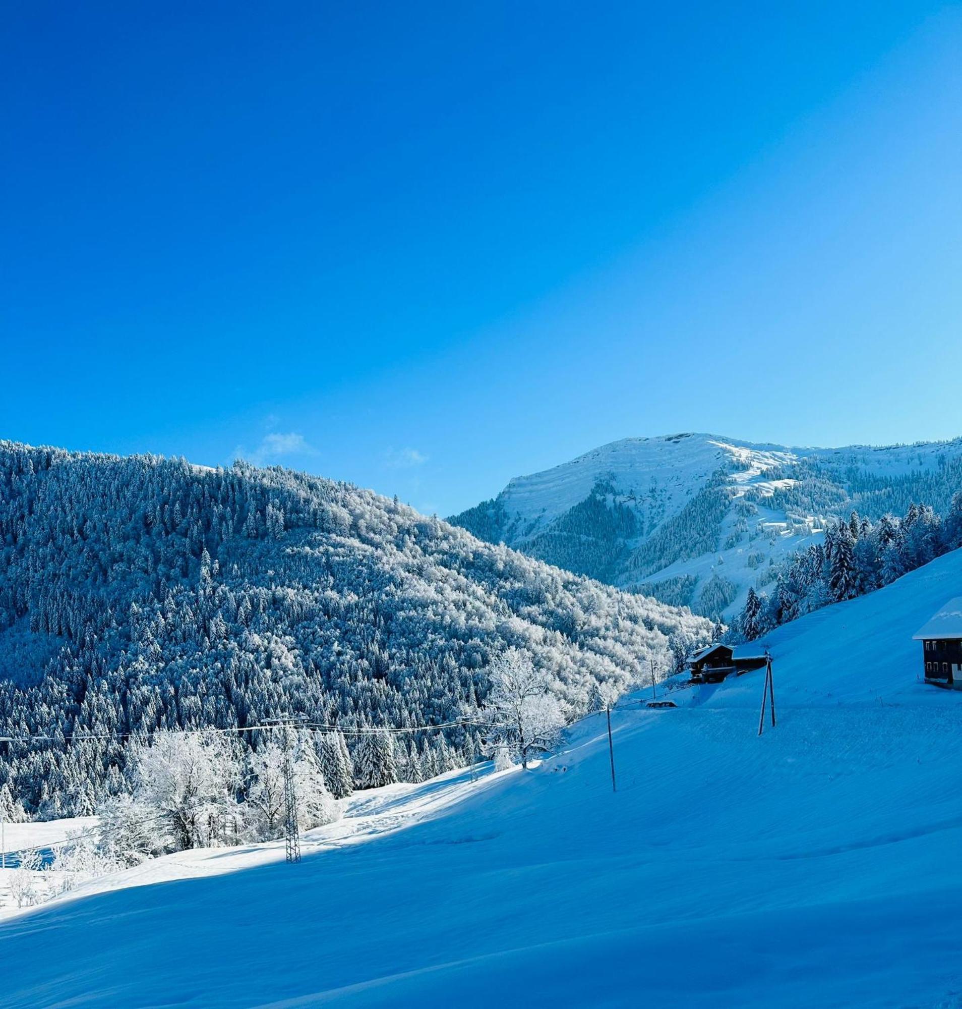 Landhaus Eibelesee Oberstaufen Bagian luar foto