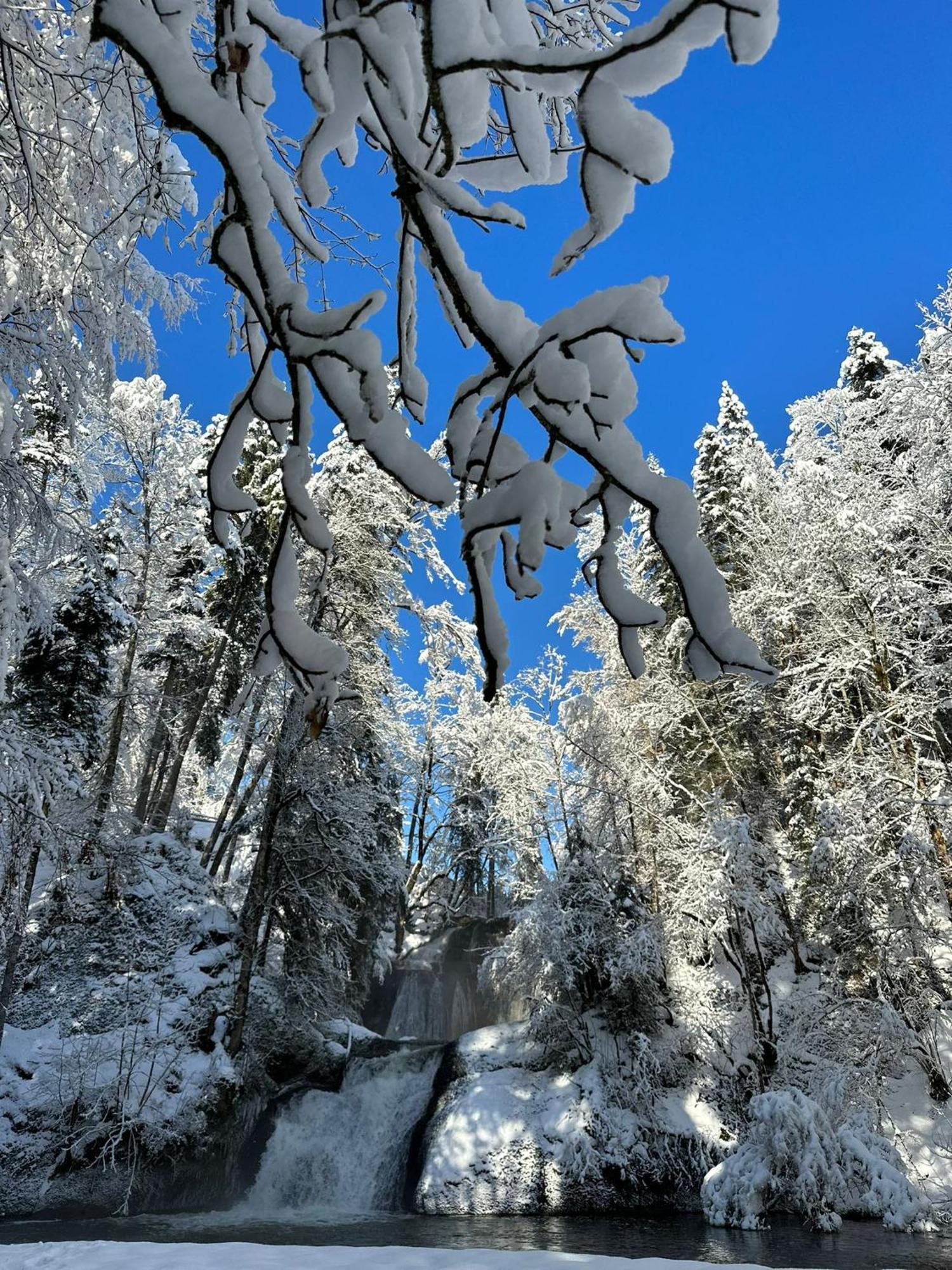 Landhaus Eibelesee Oberstaufen Bagian luar foto
